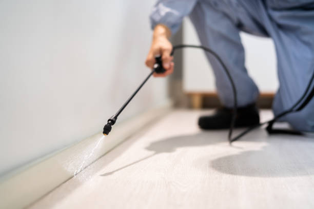 Licensed Pest Control service in Lexington, OK - Show Me Pest Control