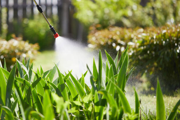 24/7 Emergency Wasp Removal experts in Lexington, OK
