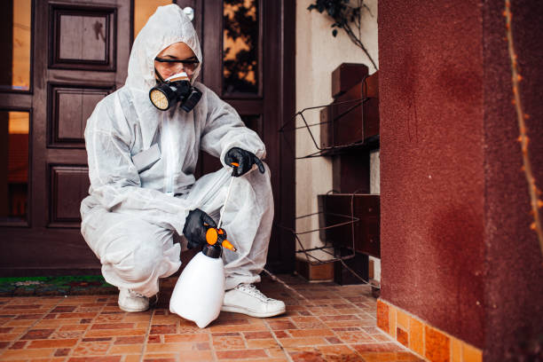 Reliable Wasp Removal contractor in Lexington, OK by Show Me Pest Control