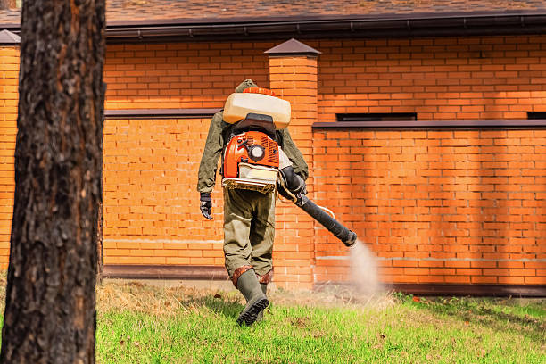 Top rated local Wasp Removal specialists in Lexington, OK